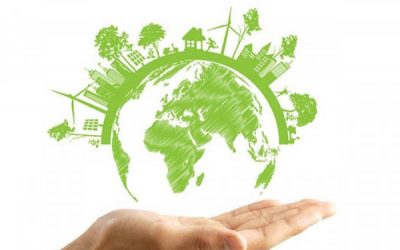 The Port of Cadiz will implement an Environmental Management System in its commitment to sustainability