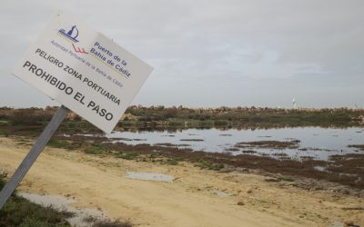 La Autoridad Portuaria usará la arena de las precargas de la Nueva Terminal de Contenedores para nivelar parcelas de la margen izquierda del Guadalete