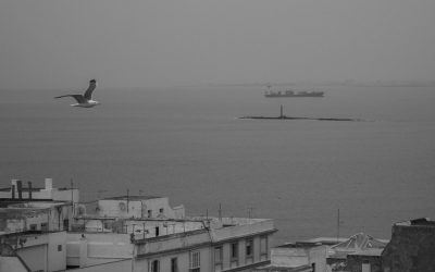 El Estudio de Impacto Ambiental del proyecto del dragado de profundización de la canal, a información pública