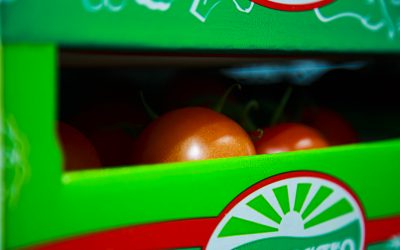 El tráfico portuario crece hasta agosto un 2 por ciento en la Bahía de Cádiz