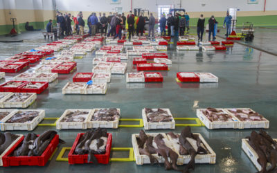 La Autoridad Portuaria invierte 800.000 euros en mejoras en las lonjas de Cádiz y El Puerto