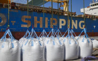 El tráfico portuario crece en la Bahía de Cádiz cuatro veces más que la media del sistema estatal