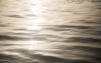 El Puerto de Cádiz se interesa por las novedades en sostenibilidad en innovación en los cruceros en el International Cruise Summit