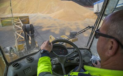 El tráfico portuario crece un 2,66 por ciento en la Bahía y roza los 3 millones de toneladas hasta julio