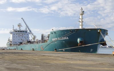 Seis buques operarán a lo largo del día en la dársena de La Cabezuela-Puerto Real