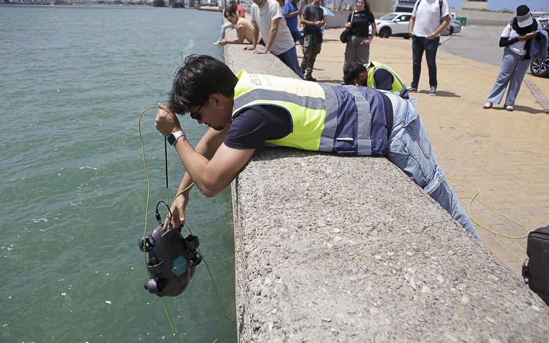 El Puerto de la Bahía de Cádiz acerca la regeneración marina y la innovación azul en una jornada sobre biodiversidad