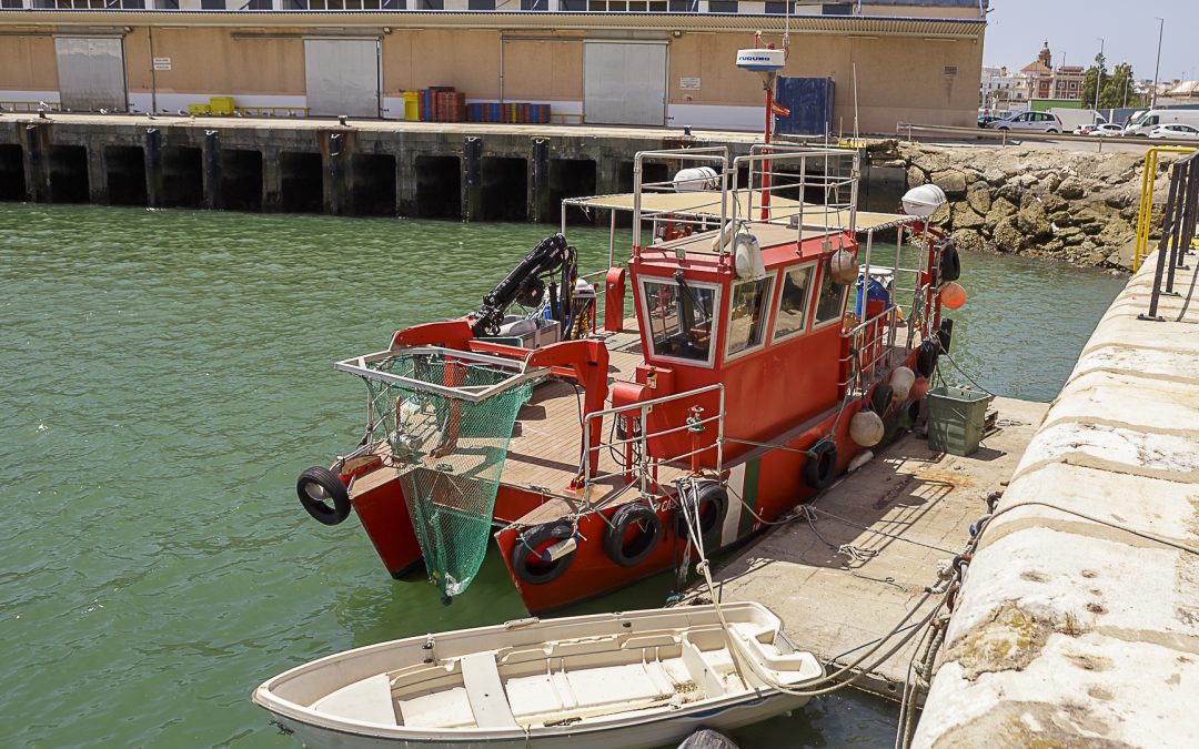 La Autoridad Portuaria de la Bahía de Cádiz avanza en su estrategia ambiental con nuevas actuaciones de sostenibilidad y regeneración marina 