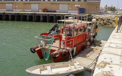 La Autoridad Portuaria de la Bahía de Cádiz avanza en su estrategia ambiental con nuevas actuaciones de sostenibilidad y regeneración marina 