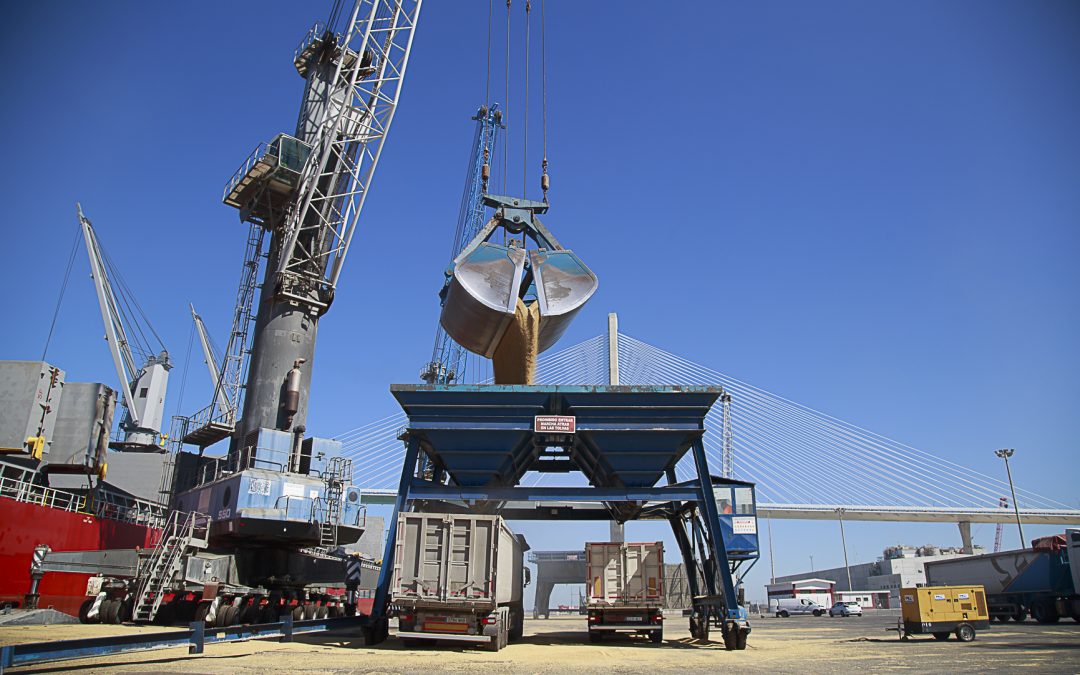 El tráfico total en el Puerto de la Bahía de Cádiz crece un 10,6 por ciento hasta julio