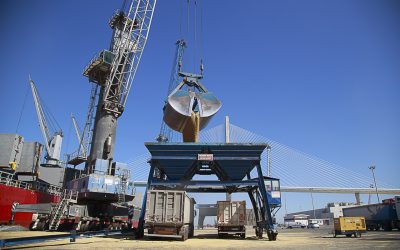 El tráfico total en el Puerto de la Bahía de Cádiz crece un 10,6 por ciento hasta julio